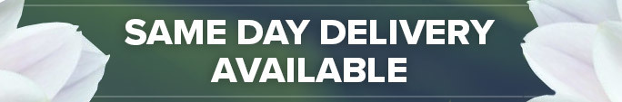 Same Day Delivery