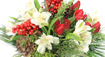 Holiday Flowers