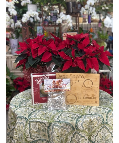 Santa's Helper Survival Pack