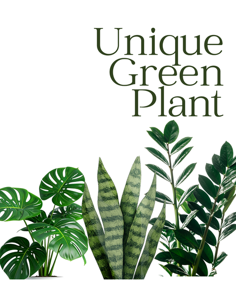 Hand-Picked Unique Green Plant