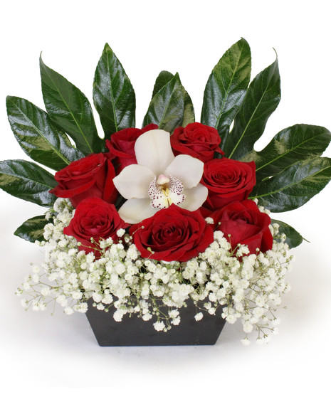 Mesmerized by You - Roses and babies breath