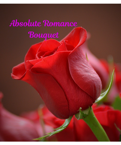 Absolute Romance Bouquet - Designer's Choice