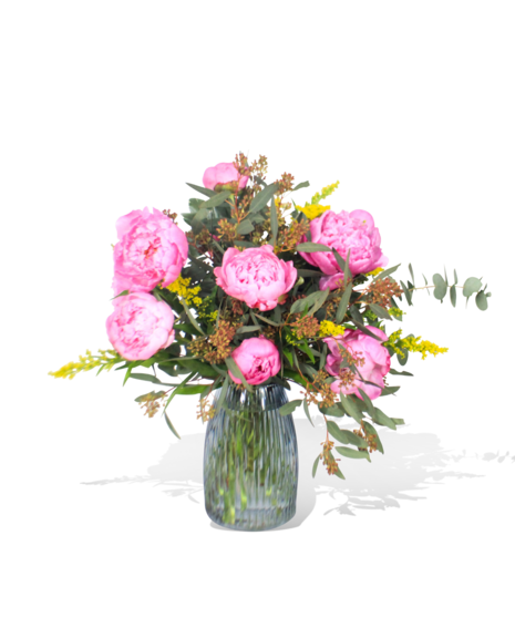 Pink Peony