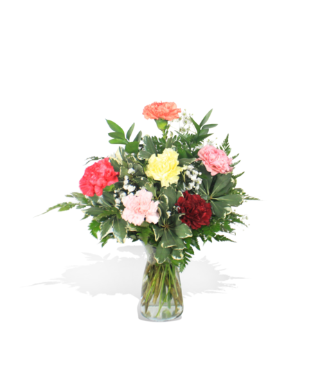 Carnation Cascade