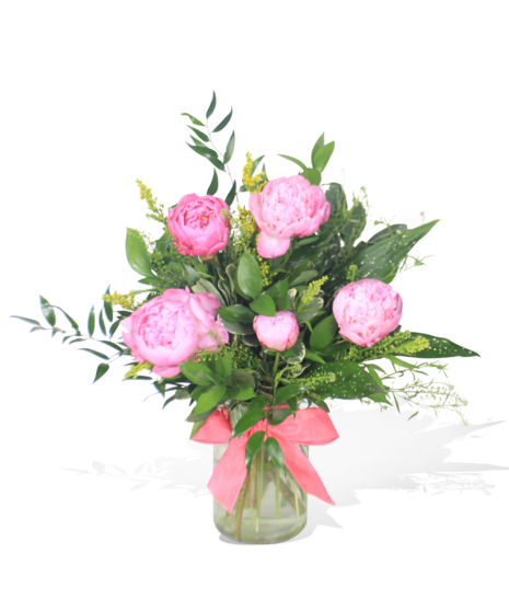 Peony Petals