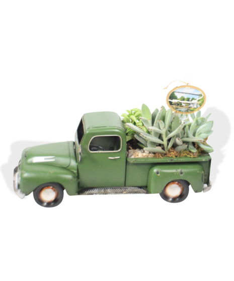 Palmetto Pickup