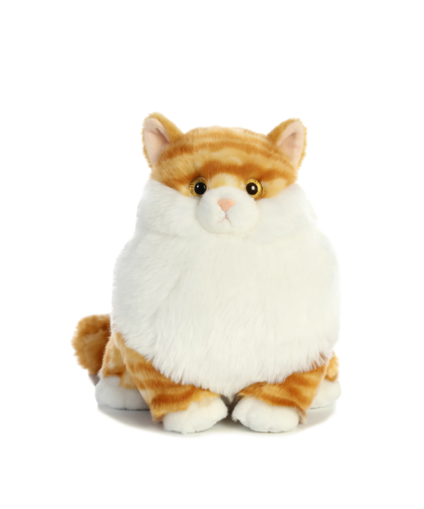 Butterball Tabby Cat
