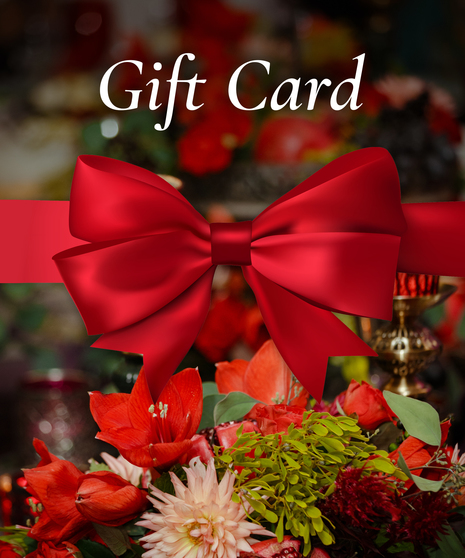 E-Gift Card $100