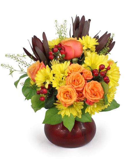 Warm Hearted Wishes