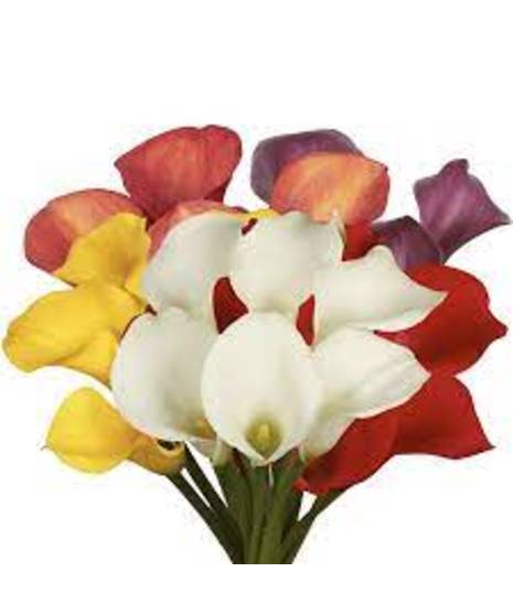 small calla lilies