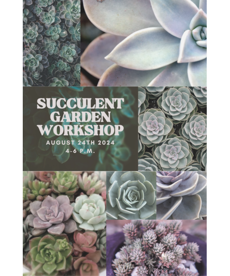 Succulent Garden Workshop - August 24th, 2024