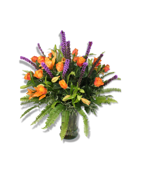 Exceptional Orange -
