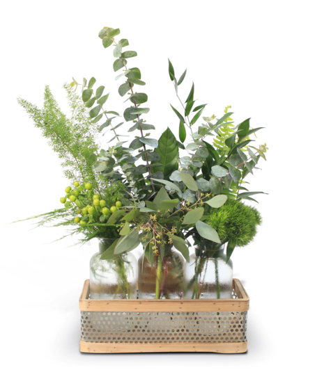 greenery in vase