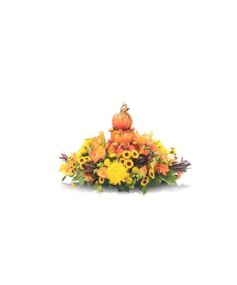 Fall Trio
