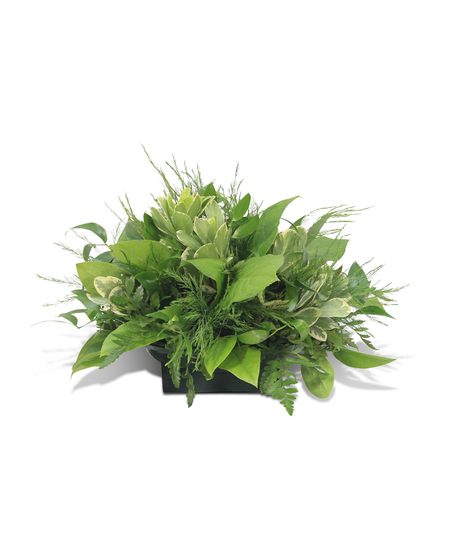 beautiful green centerpiece with accents of small white flowers