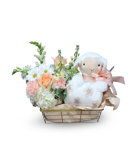 Little Lamb