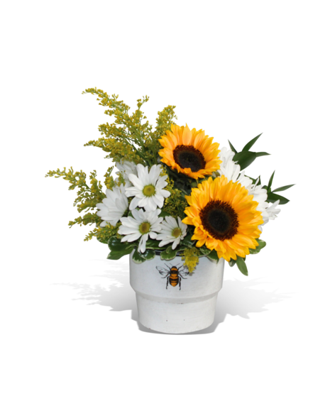 Bee-Positive