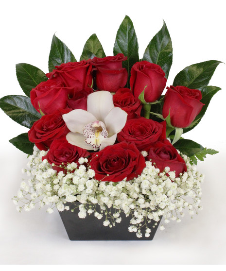 Mesmerized by You - Roses and babies breath