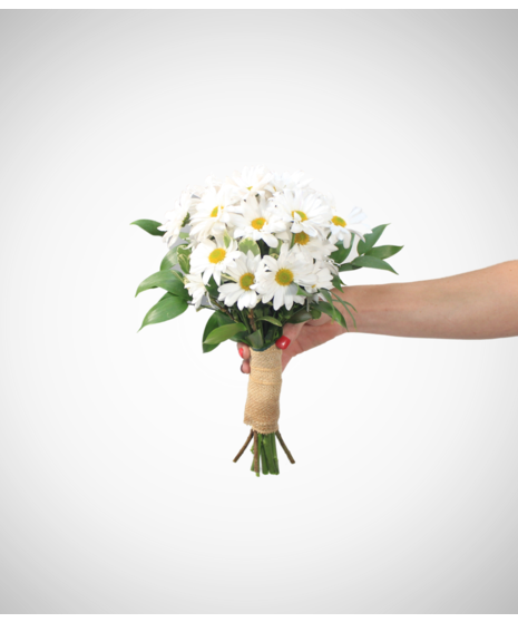 white daisies in petite bouquet