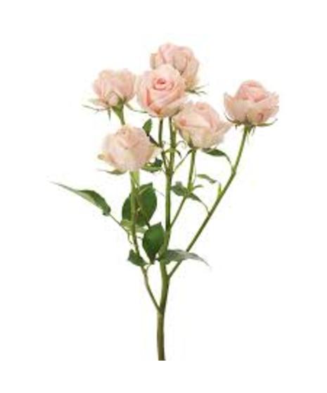 Rose - Petite Spray