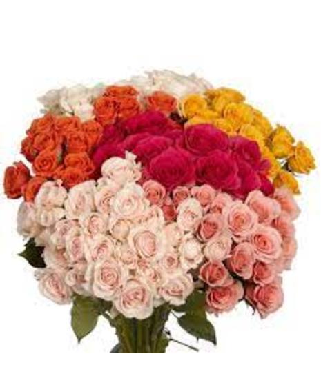 example of rose stem