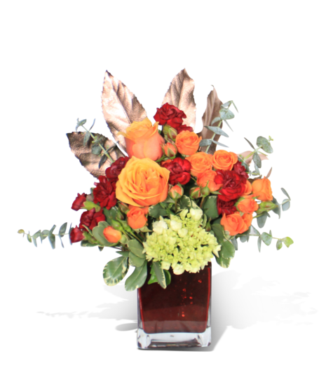 Copper Rose