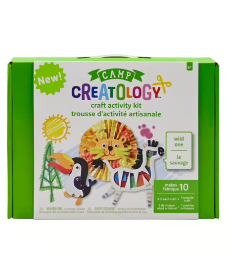 Camp Creatology Activity Kit