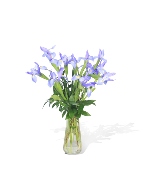 Iris Magic