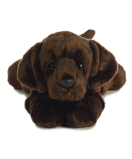 Max Chocolate Lab