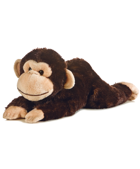Charlie Chimp
