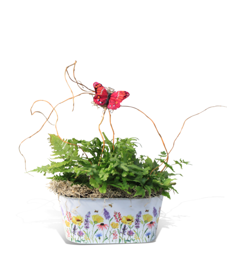 Window Box Wishes