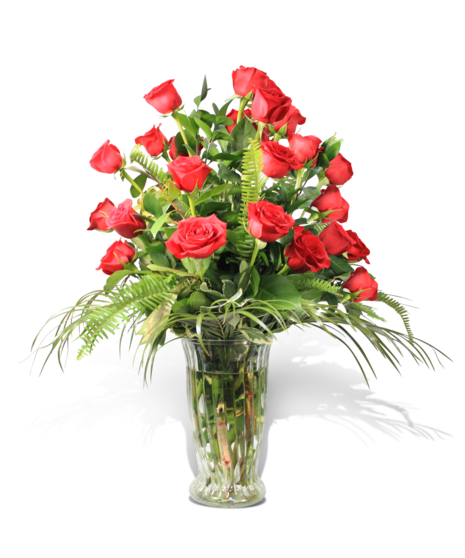 Royal Beauty - Two Dozen Roses