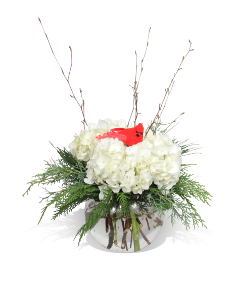Cardinal Cheer