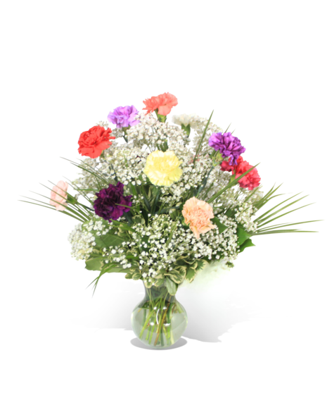 Carnation Cascade